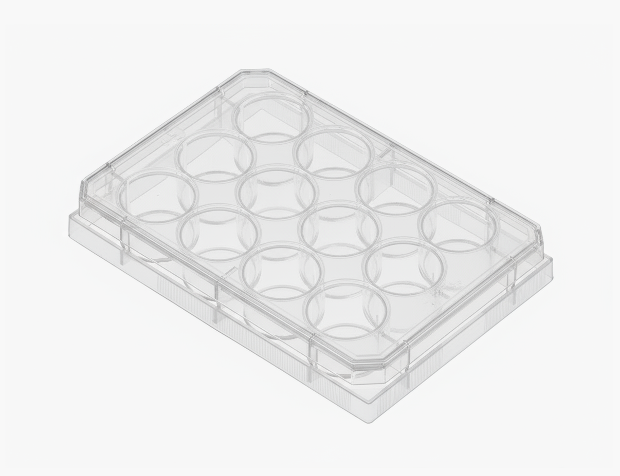 OxygenControl Single-Level 12-well Plate
